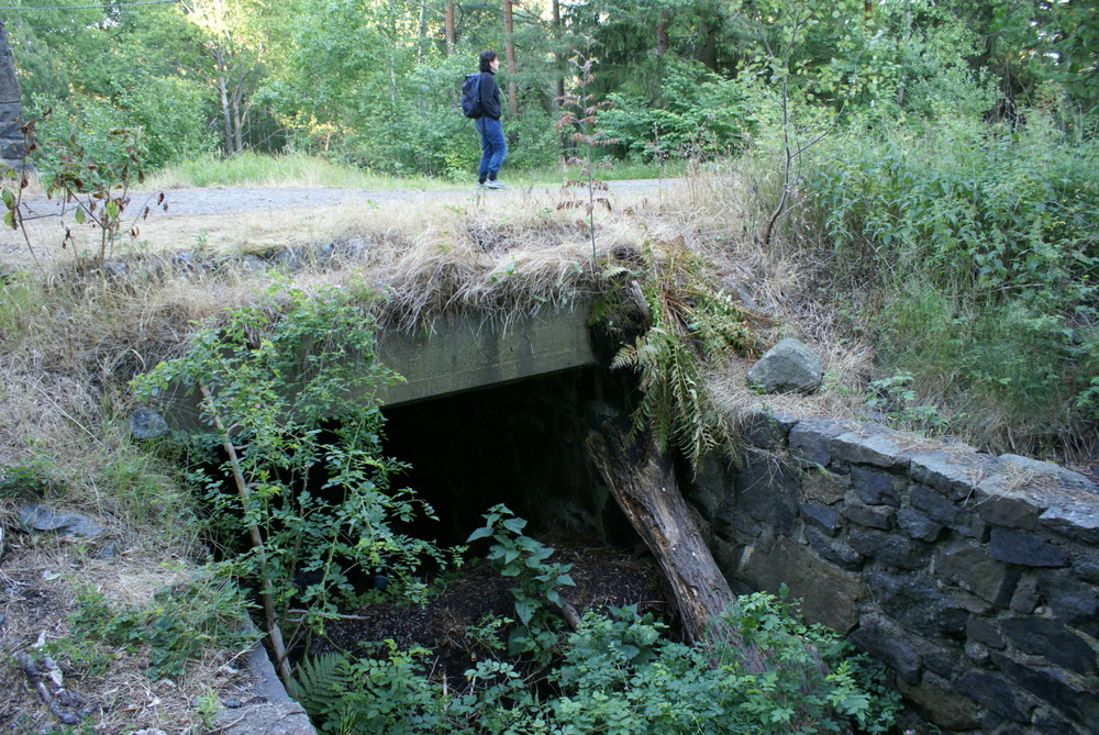 Tunnel for ammo tog