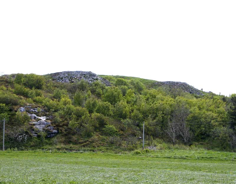 Bildet viser kasematter som er blitt gravd over. Forsvaret mener dette er den beste måten å sikre en bunker på. Her ville noen stakkars tusenlapper til et gjerde gjort samme jobben og samtidlig ivareta histore.