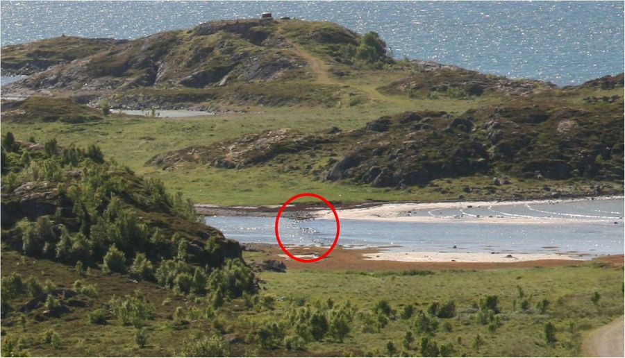 Så godt som dekket ca. 10min etter at jeg passerte på vei tilbake fra Stranden (stadig stigende)