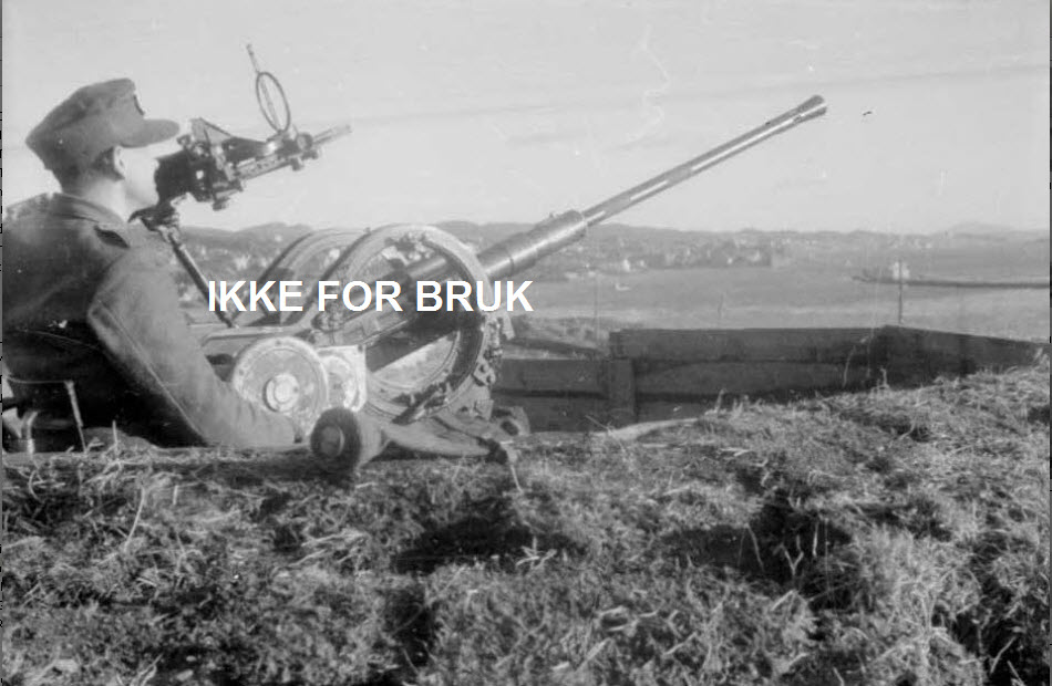 FLAK Risøyfjellet Haugesund.jpg