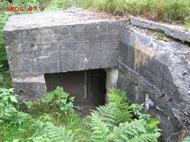 Bunkers rett bak 'Leitstand' på Mosskarsfjell.