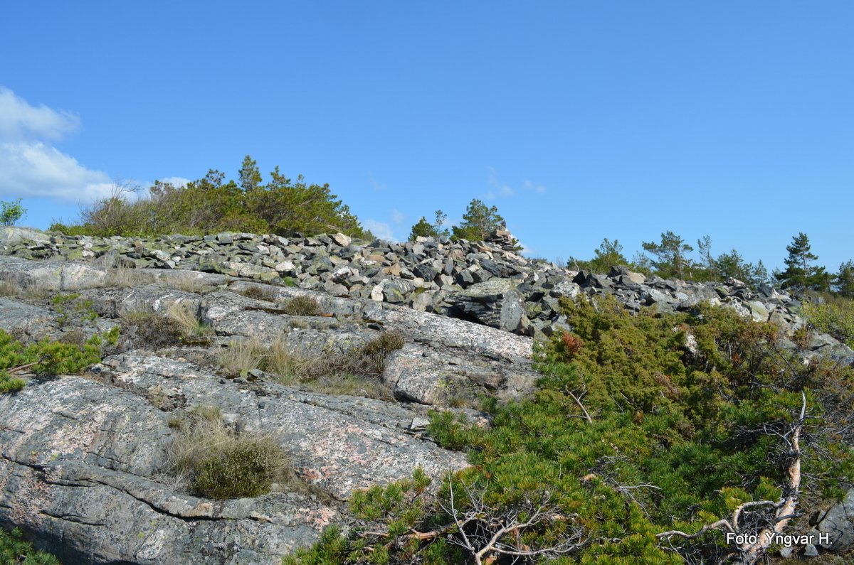 Narre stillingene på Hesttangen