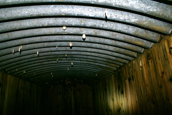 Bunkerederkopper i taket