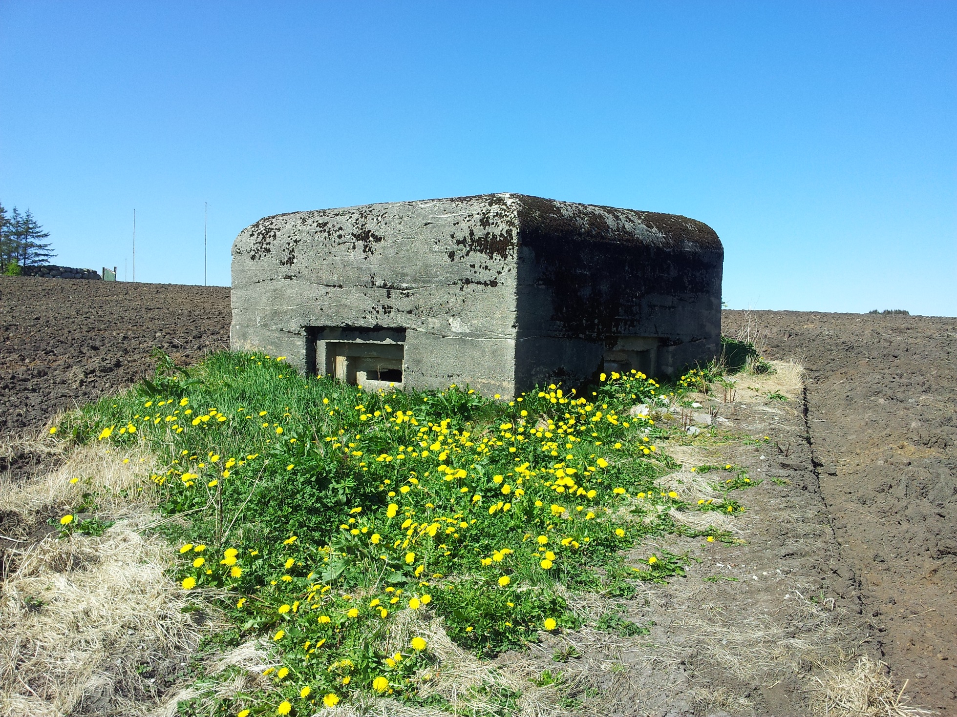 Finnes flere av denne typen bunkere langs nordsiden av Figgjoelven