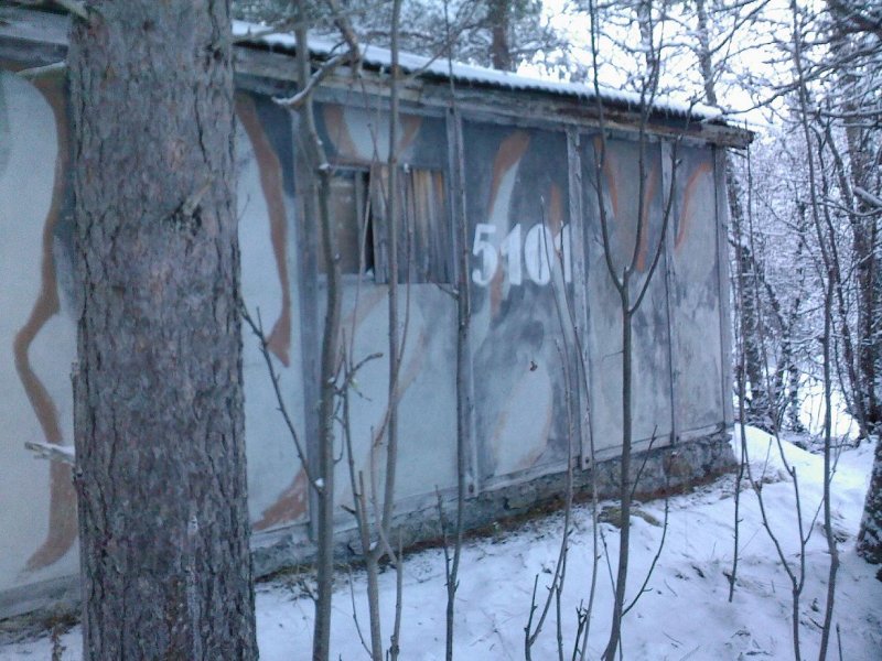 Glimrende småskog-kamuflasje, alderen til tross!