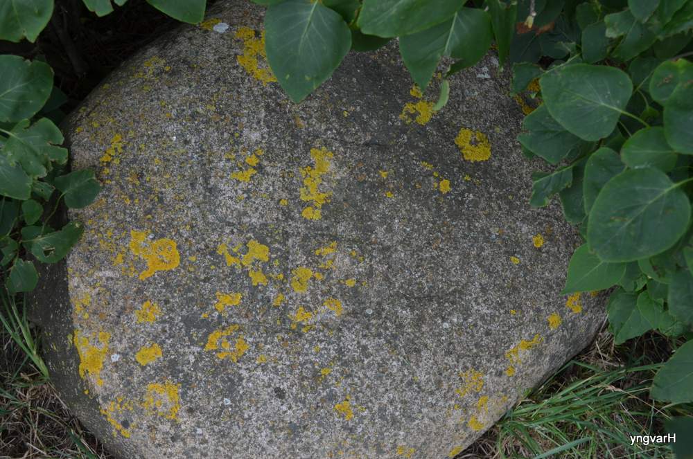 Det er hugget inn et hakekors i denne stenen som lå like ved brakkeleiren