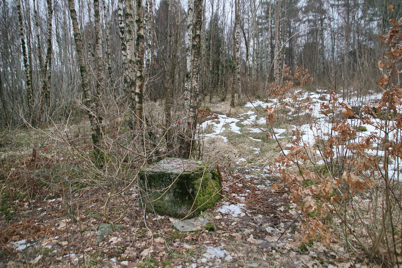 Betongkloss i Daaeskogen.