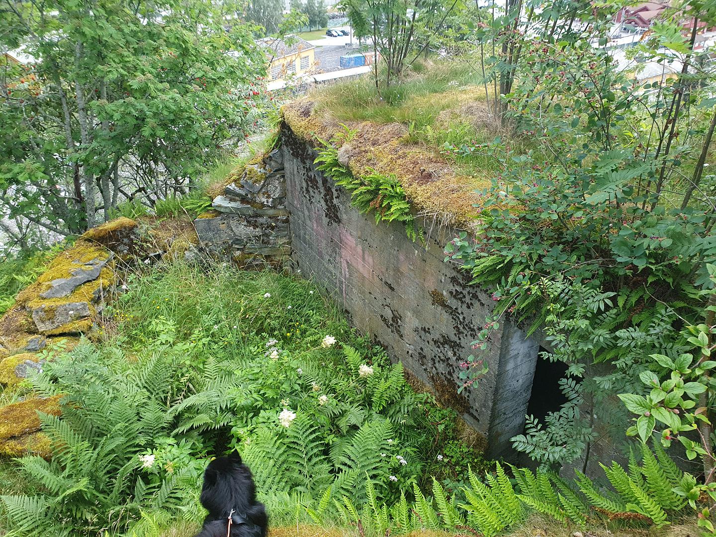 MG-bunker bak Fretheim hotell