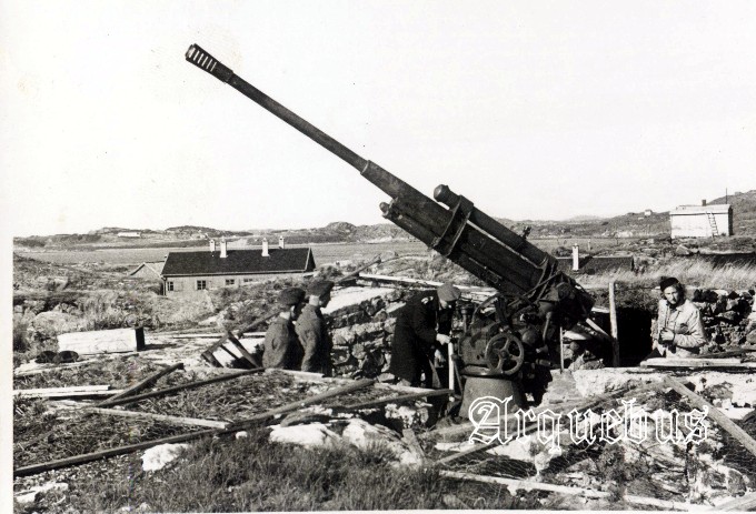 8,8 cm Flak - r oppboret.jpg