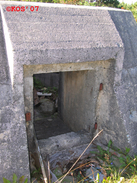 Inngangspartiet