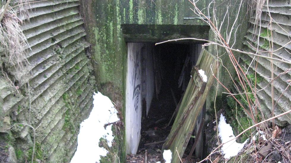 Borgarsyssel (2).jpg