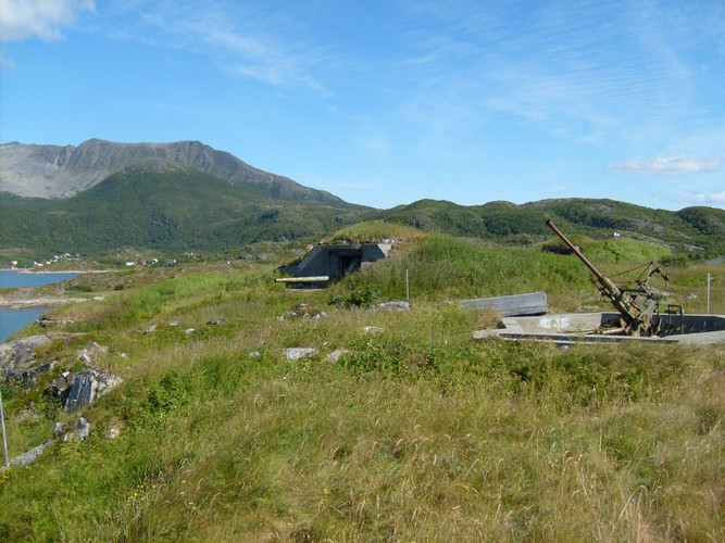 Luftvern og skyts .jpg