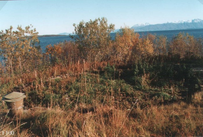 Foto G.Røsok