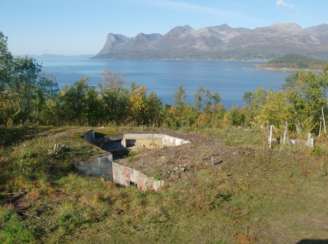 88 mm 2 .jpg