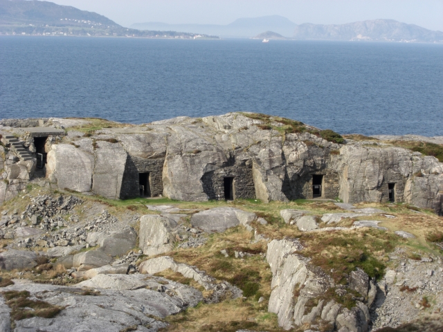 Etterbruken varierer, på HKB 34/976 er det åpenbart sauene som gleder seg mest over fjellanleggene...