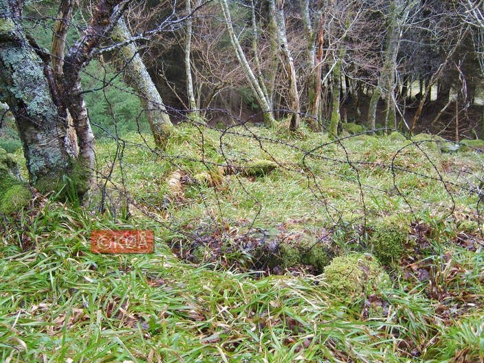 Framleis ligg det piggtråd i marka.