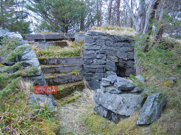 Flak nr 2 på Halsanakken. Nedgang til dekningsrom rett bak treet til høgre.