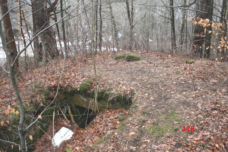 043.jpg