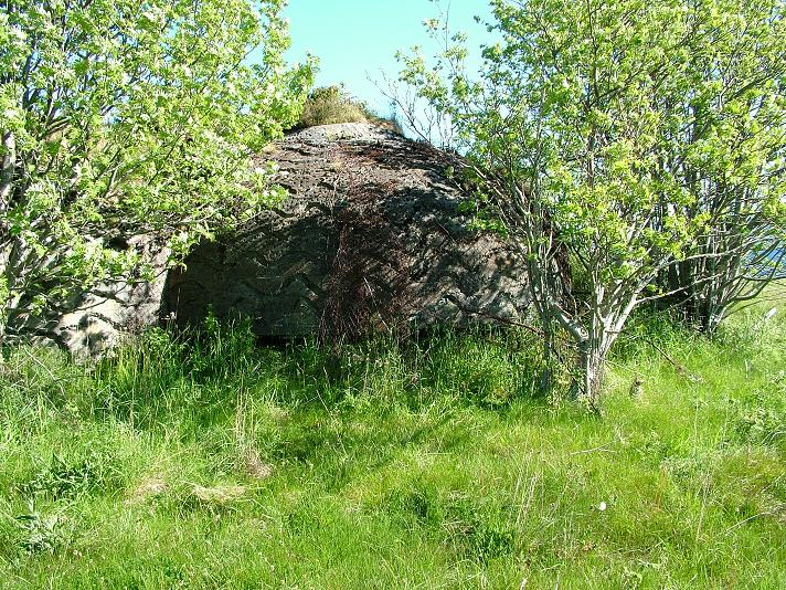 Fronten på bygg 553, Regelbau 636