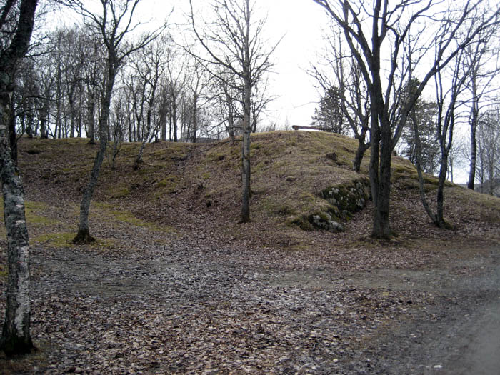 Rensåsen 1.jpg