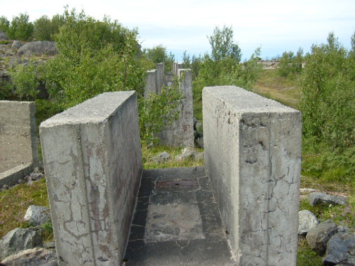 Betongstøtter