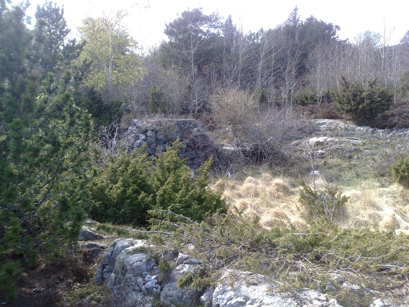 Forfra
