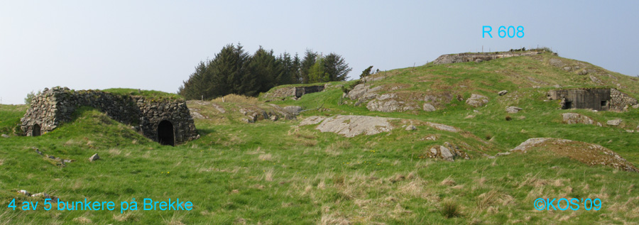 20090501_008m_1.jpg
