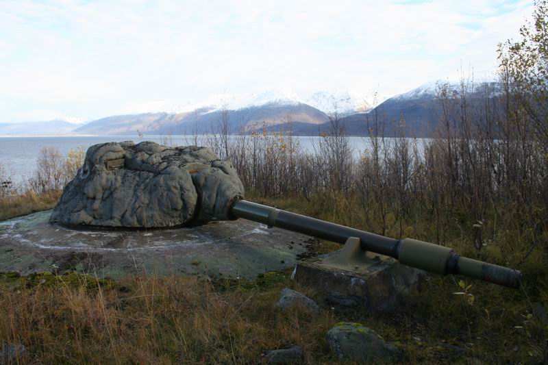 Fra Årøybukt fort, foto: Erik E.
