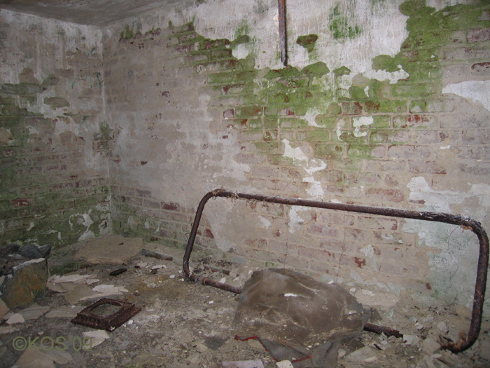20090501_151_1.JPG
