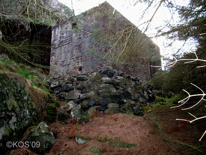 20090501_149_1.jpg
