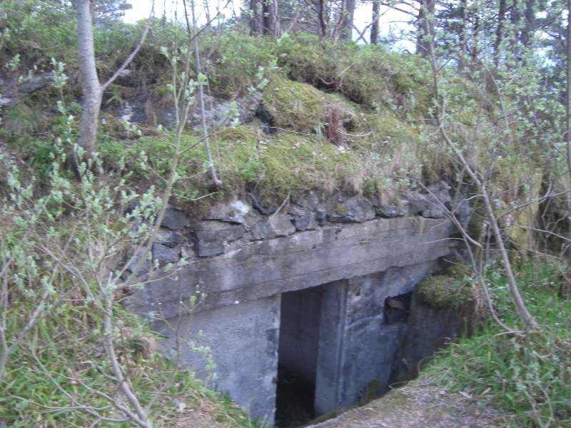 Ca 100 meter sør for Albertleiren ligger &amp;quot;telefordelingsskapet&amp;quot; for de tyske stillingene på vestre Aksla.  Ser ikke ut som det var annet enn et meget solid &amp;quot;teleskap&amp;quot; med passiv gjennomkopling, men der er mulighet for å koble på strøm