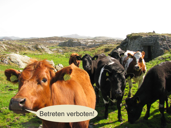 En streng Feldwebel !