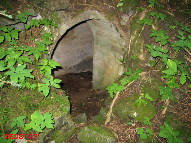 Ikke så vanskelig å se - men lett å overse om en ikke har øynene med seg.<br />32 V 290193 6592448