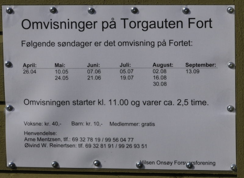 Sommerens omvisninger på Torgauten