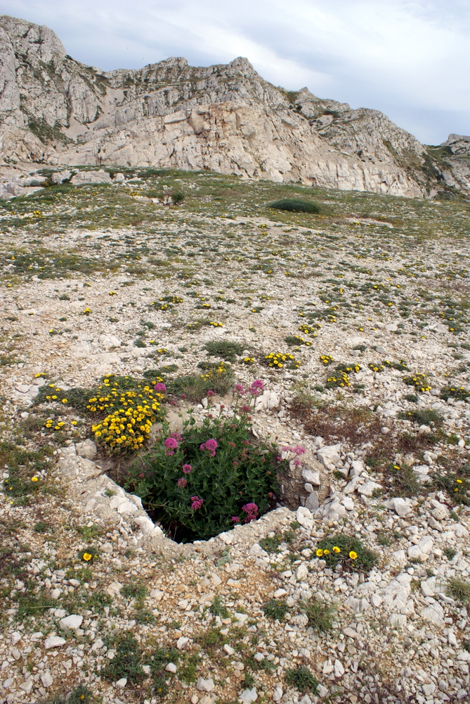 Enmannshull i Marseille