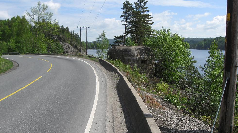 Trøsken (1).jpg