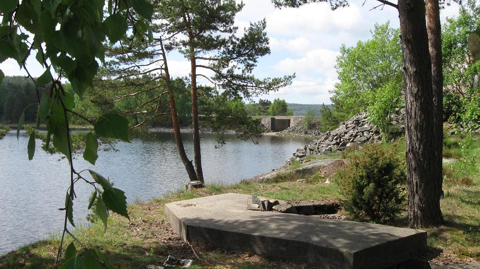 Trøsken (3).jpg