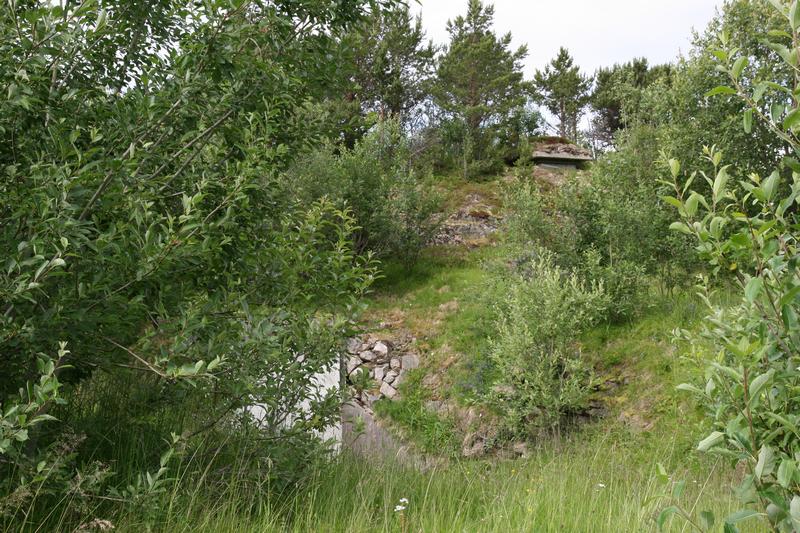 NF-stilling ovenfor inngangspartiet (tilknyttet et løpegravsystem som gikk rundt anlegget, med NF-ko, og forbindelse ned til hovedanlegget gjennom en ABC-sluse rett under panserkuppelen oppe på batterifronten).