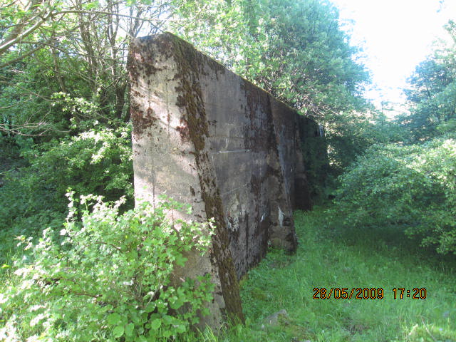 bl002.JPG