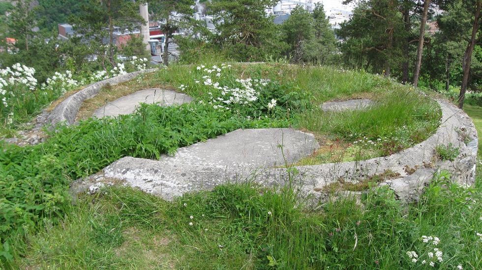 fredriksten (7).jpg