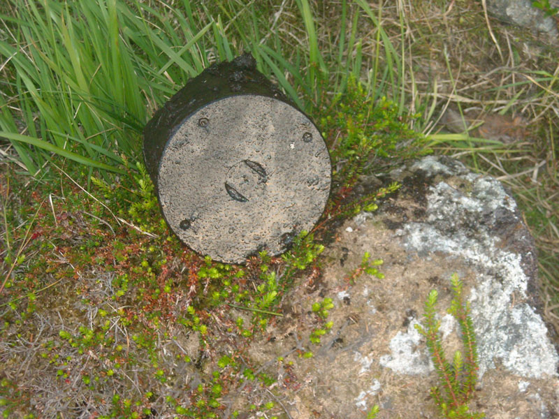 14-06-2009-002-aaa.jpg