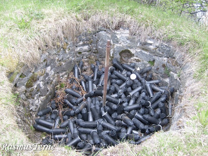 Hylser til saluttbatt.jpg