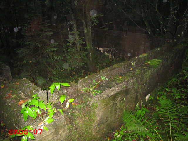 Skal ta et bedre bilde en tid på året med mindre vekster - og regn (forhåpentligvis).<br />32 V 290373 6592155