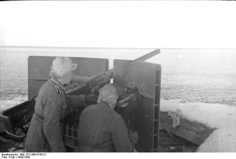 Bundesarchiv_Bild_101I-099-0743-21,_Nordeuropa,_Küstenbatterie.jpg