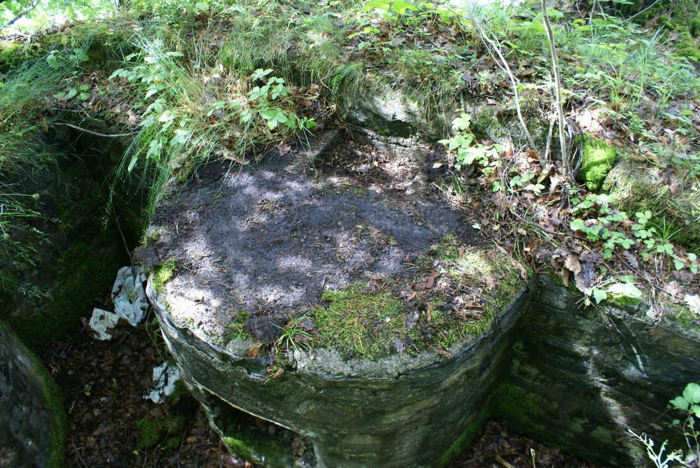 DSC00824.JPG