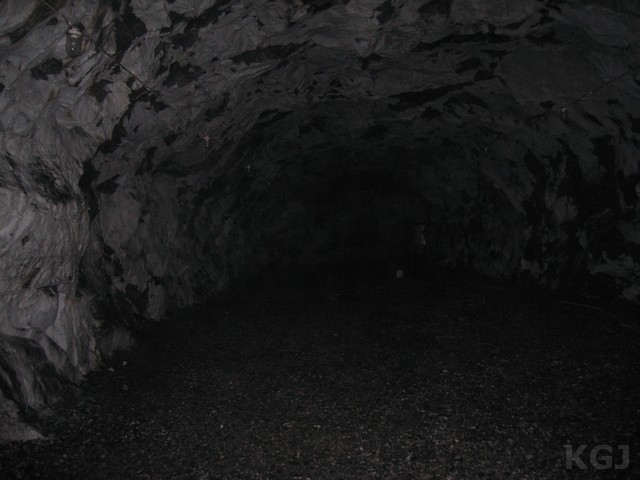 IMG_7664.jpg