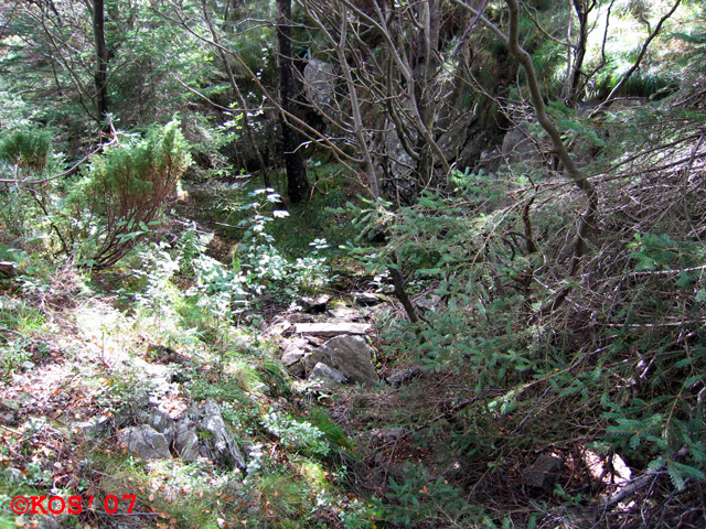 Til slutt dette relativt store innhugget i østsiden av sørfjellet, på 32 V 290300 6591899.<br />Sikkert 3x8m og godt &amp;quot;hugget inn&amp;quot; i fjellsiden. Vises som en stor &amp;quot;U&amp;quot; på O-kart.