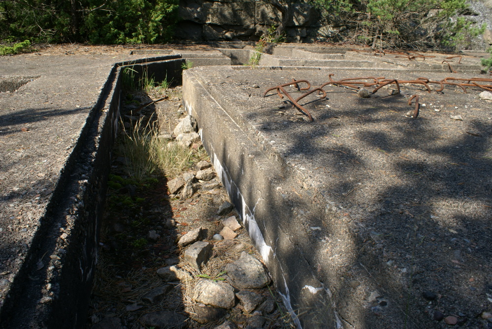 DSC01267.JPG