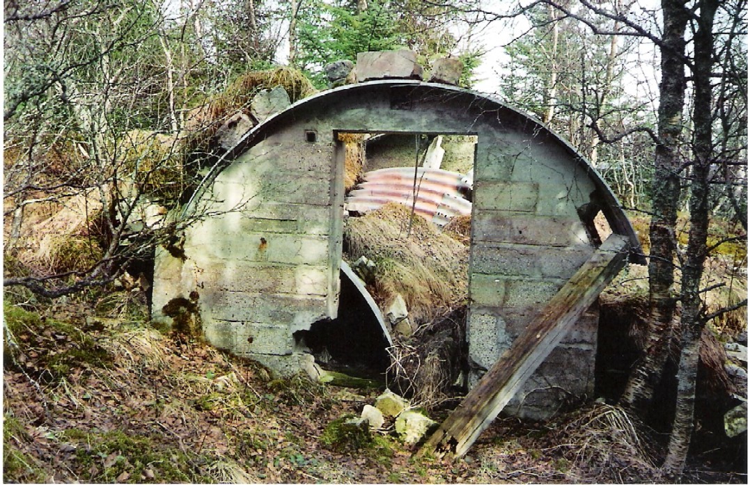 Naturen overtar.jpg