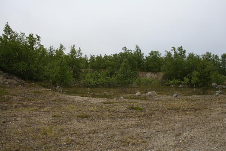 KKN01.jpg